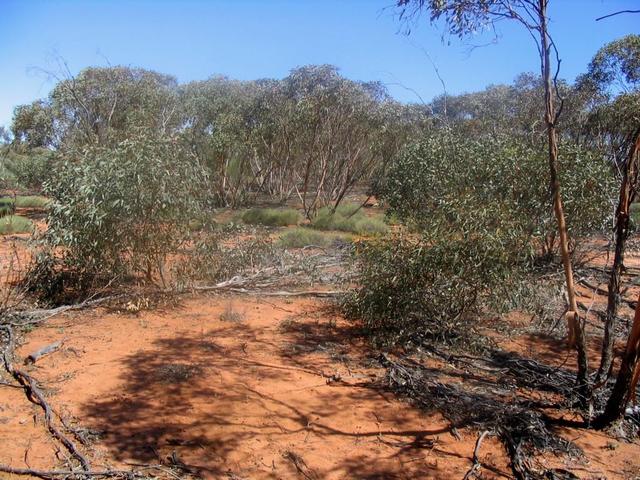 Photo looking south west