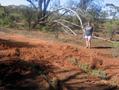 #7: Where we got bogged!