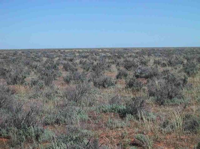 General area of the Confluence - same in every direction