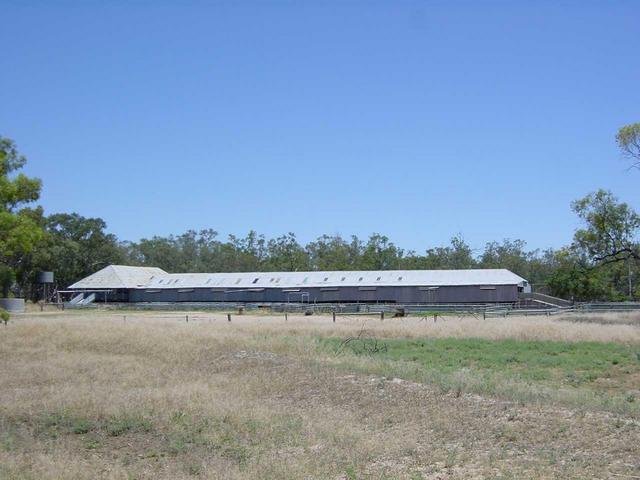 The Tupra Station Woolshed when we visited