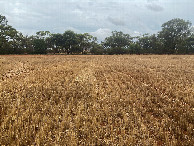 #3: View South (towards Ryans Road, less than 70m away)