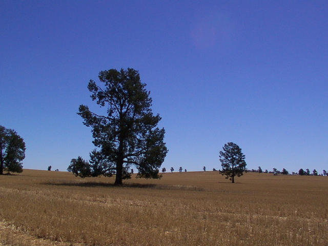 View from the confluence