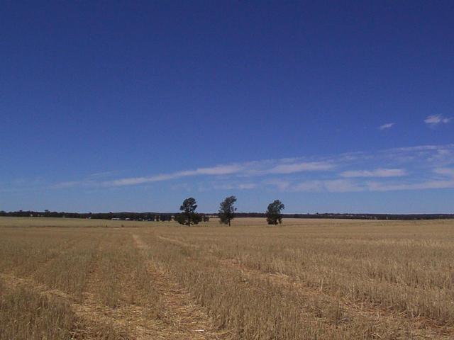 View from the confluence