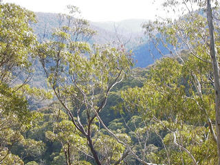 #1: Looking north from the Confluence upthe Kowmung River gorge.