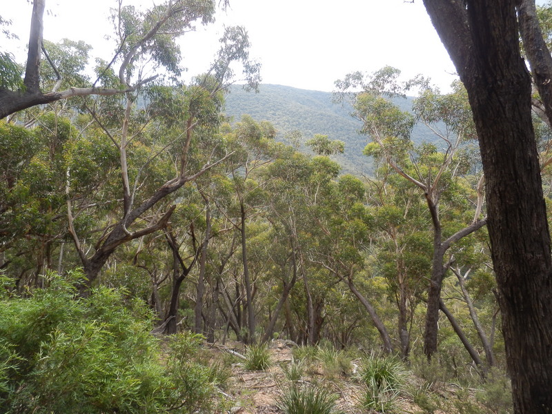 The Confluence from 10 m