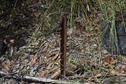 #5: The confluence point lies in a patch of scrub, marked (apparently) by a rusting metal post.