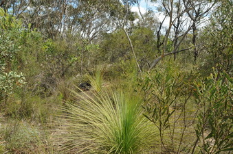 #1: Confluence point about 10 meters away