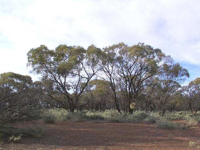 Main view from the confluence