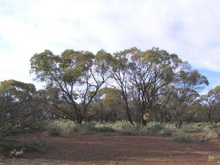 #1: Main view from the confluence