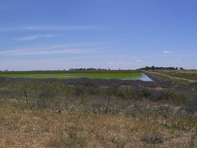 Main view from the confluence