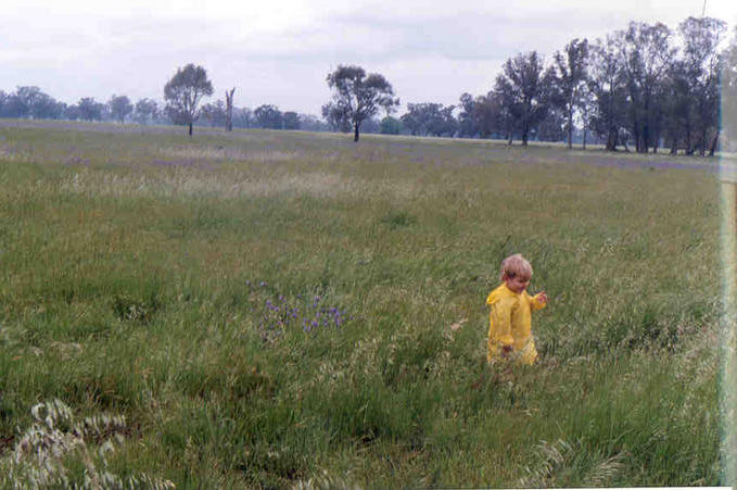 Robert is standing on the spot, looking north.