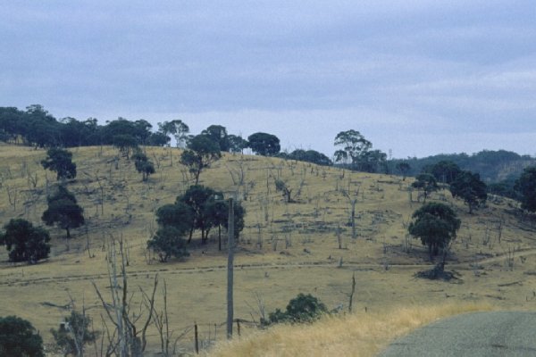 View to the north from same point as #3 - you may be able to pick the Radio Mast on the hill behind