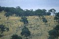 #3: View back toward the confluence from access road