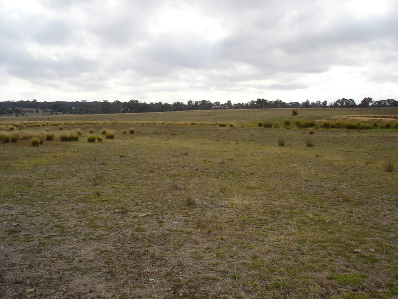 View North from the Confluence