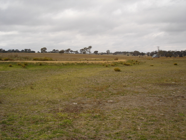 View East from the Confluence