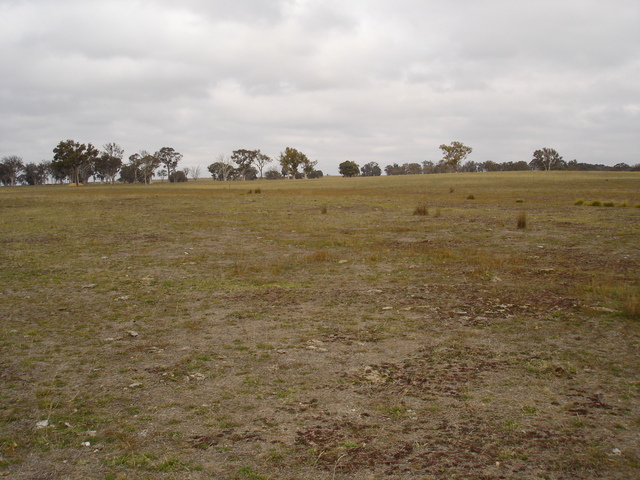 View South from the Confluence