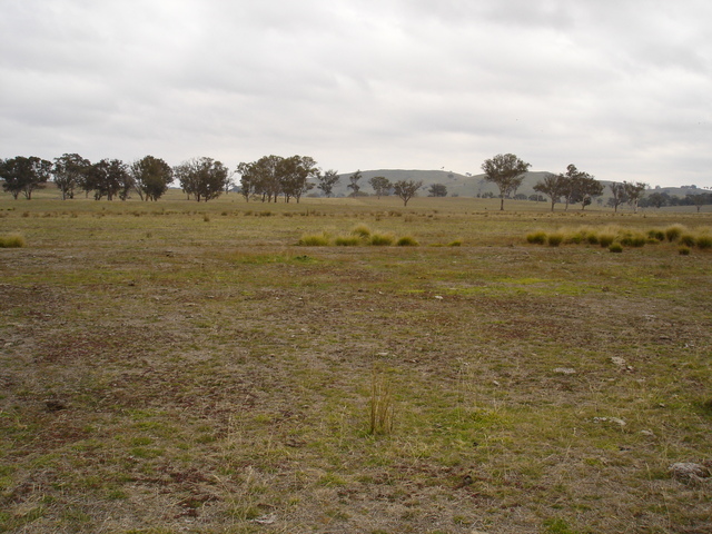 View West from the Confluence