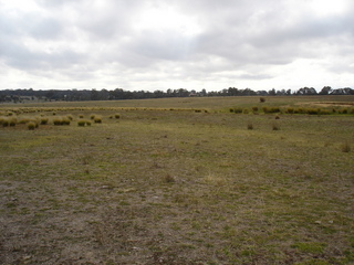 #1: View North from the Confluence