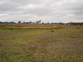 #7: View East from the Confluence