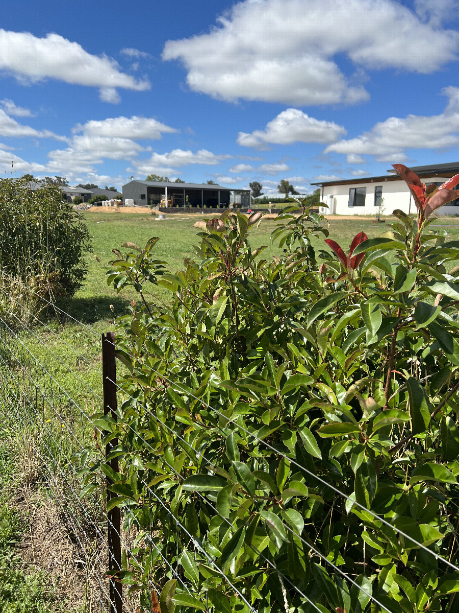 Looking south from the fence.