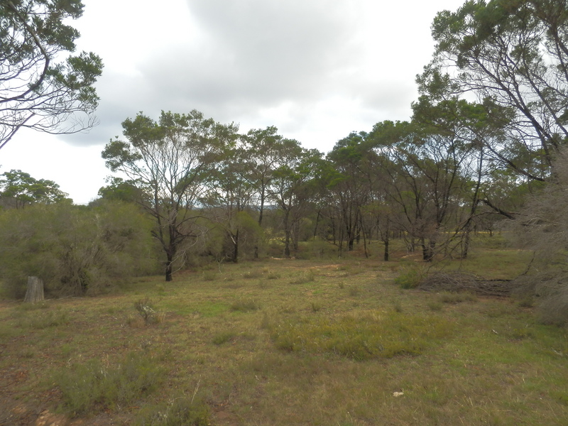 The Confluence from 30 m