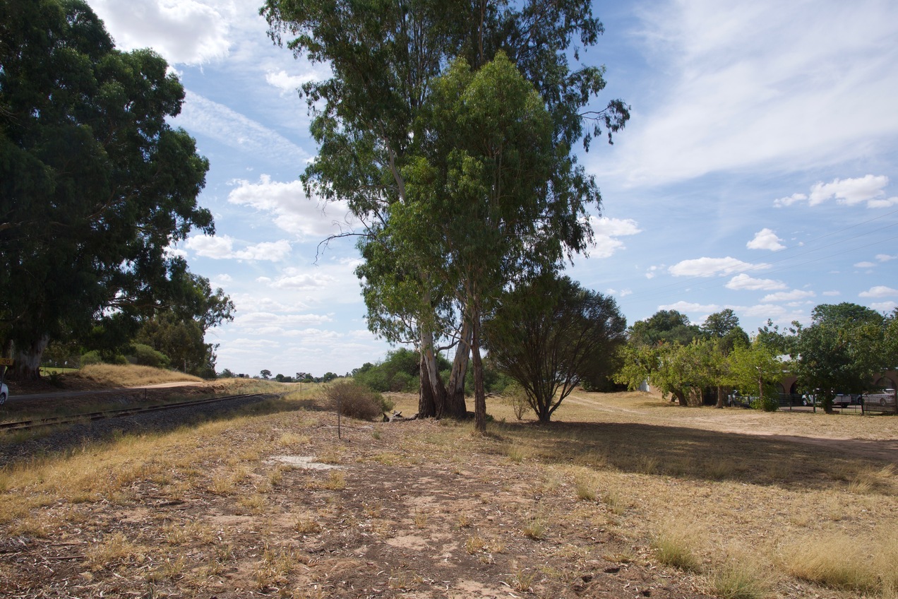 View North (from 37 m West of the point)