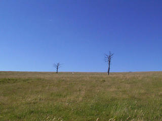 #1: Main view from the confluence