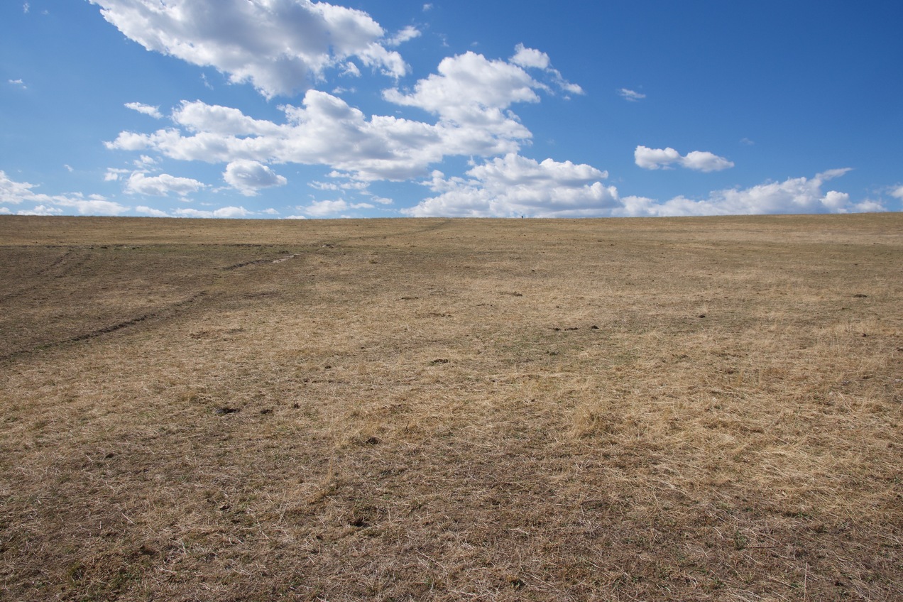 The confluence point is located on a slight slope, in open farmland. (This is also a view to the North.)