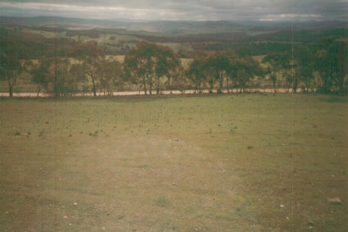 The view west from the confluence point.