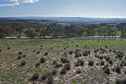 #5: View West (towards Shannons Flat Road, 100 metres away)