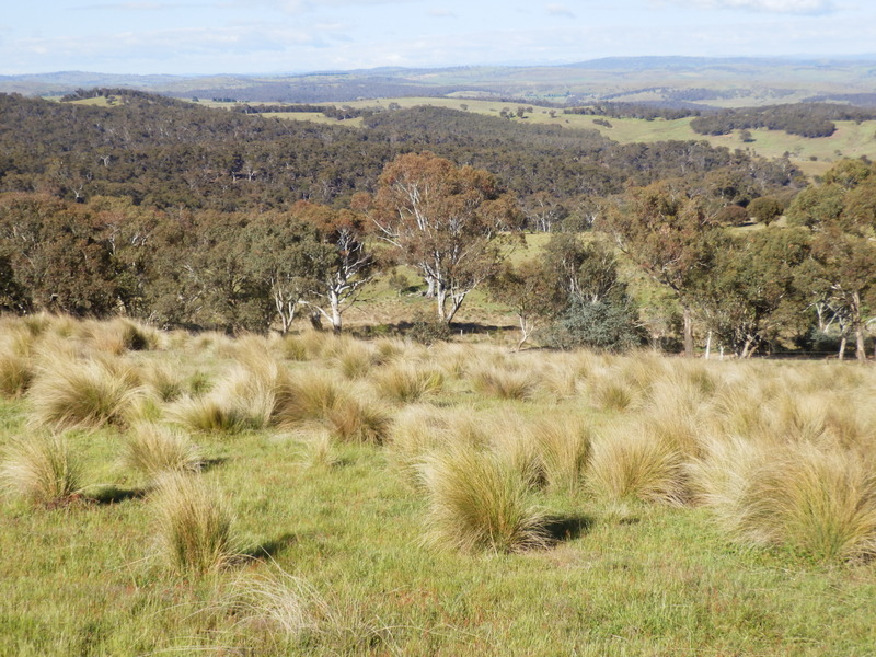 The Confluence from 25 m distance