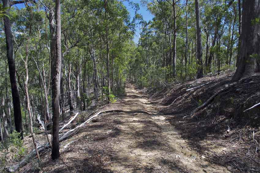 View West (along the fire road)