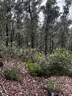 #2: View south from the confluence point