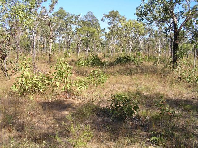 Area around the confluence point