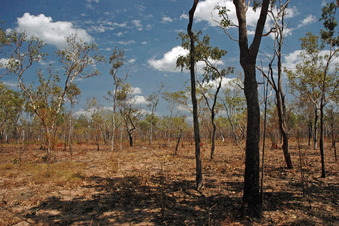 #1: View toward the confluence from the road