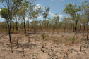 #5: View south from the point