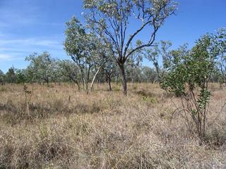 #1: Confluence from 30m northwest