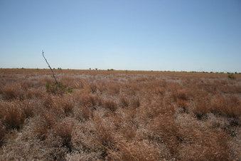 #1: View of confluence facing north