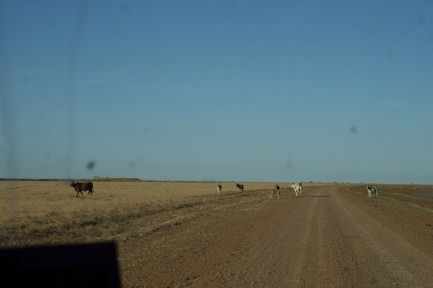 Near the confluence - No. 5 Bore with dam and cattle yards by Calvert Road