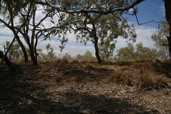 The view looking East