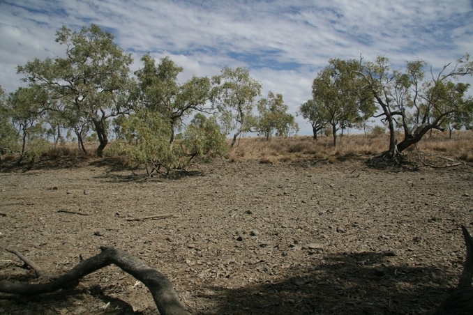 The view looking West