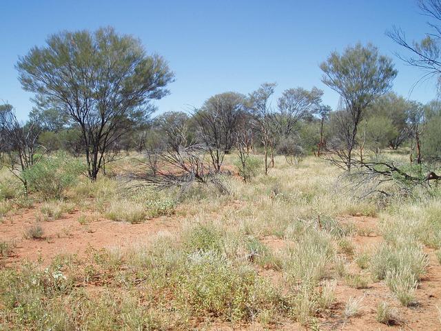 Looking East from 22S 132E