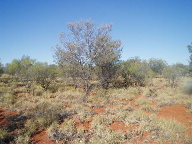 View east from 22S 134E.