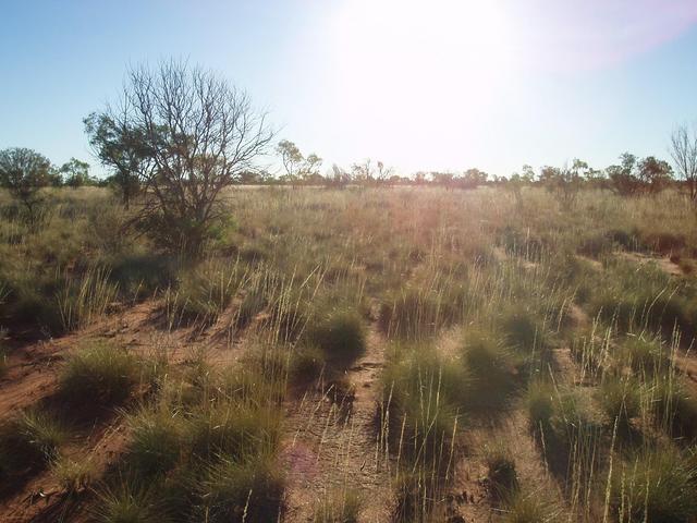 View west from confluence