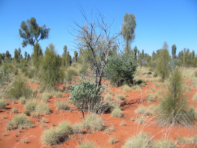 Looking east