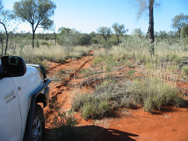 Track 1km north of confluence