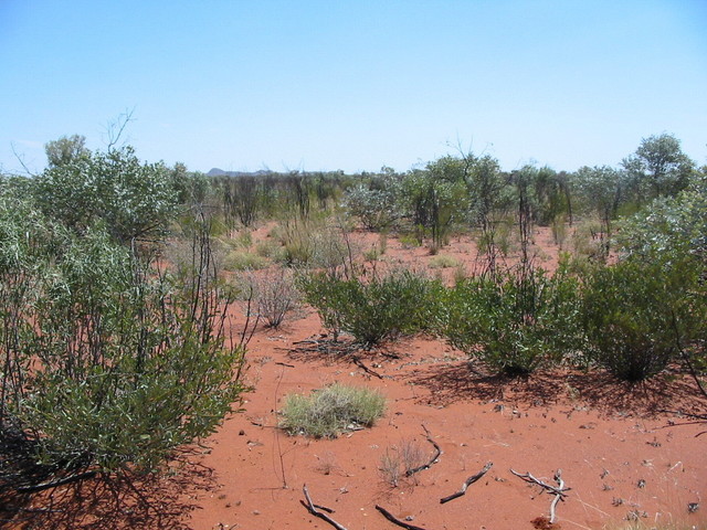 View to confluence from 80m SE