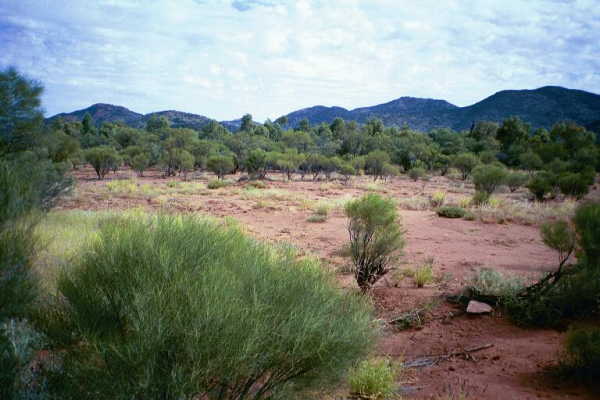 Another view from the confluence point