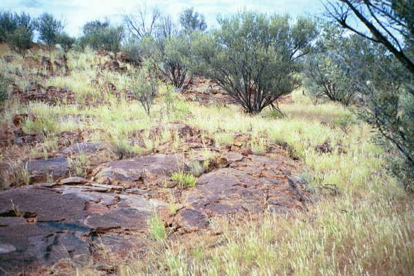 A ground-level view from the confluence point