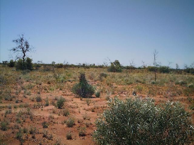 View of the confluence looking North